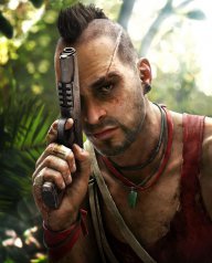 Vaas